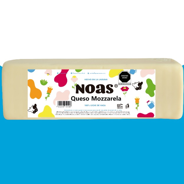 Queso Mozzarela 100% leche Noas