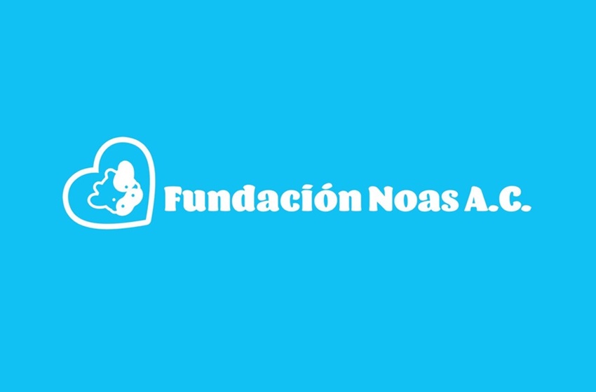 Comunicado de Prensa: Nace la Fundación Noas AC