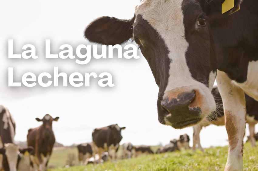La Laguna lechera
