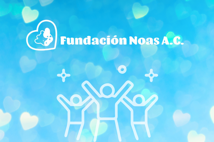 fundacion noas primer aniversario