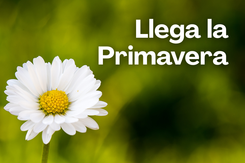 Llega la primavera