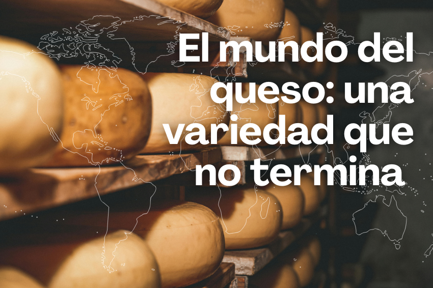 El mundo del queso